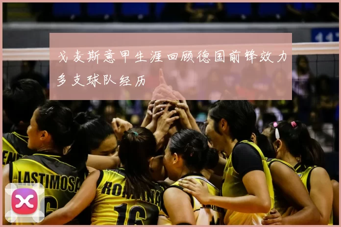 戈麦斯意甲生涯回顾德国前锋效力多支球队经历