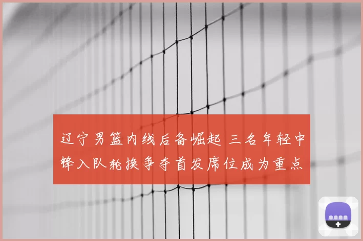 辽宁男篮内线后备崛起 三名年轻中锋入队轮换争夺首发席位成为重点