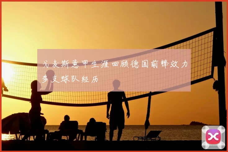 戈麦斯意甲生涯回顾德国前锋效力多支球队经历