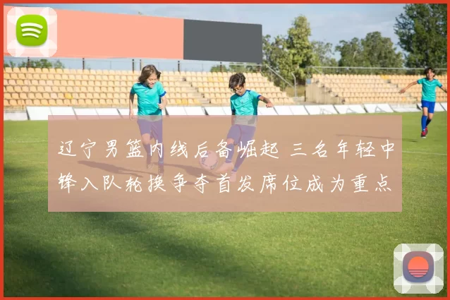 辽宁男篮内线后备崛起 三名年轻中锋入队轮换争夺首发席位成为重点