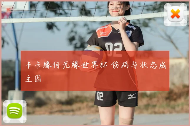 卡卡缘何无缘世界杯 伤病与状态成主因