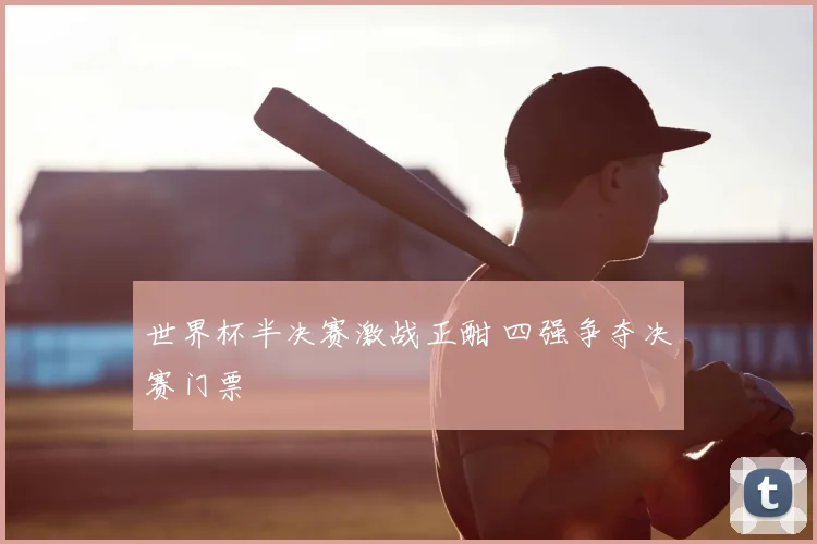 世界杯半决赛激战正酣 四强争夺决赛门票