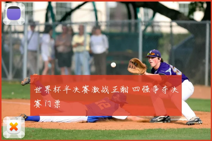 世界杯半决赛激战正酣 四强争夺决赛门票